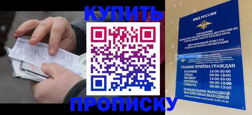 временная регистрация недорого в Николаевске